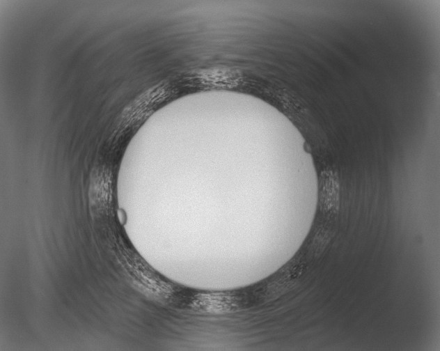 X0000085060713200703261205