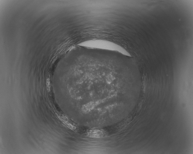 X0000085060716200703261205