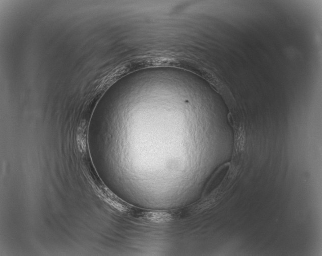 X0000085060719200703261205