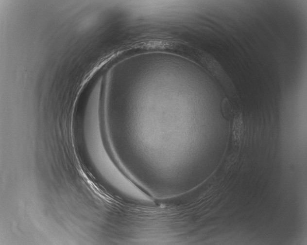 X0000085060722200703261204