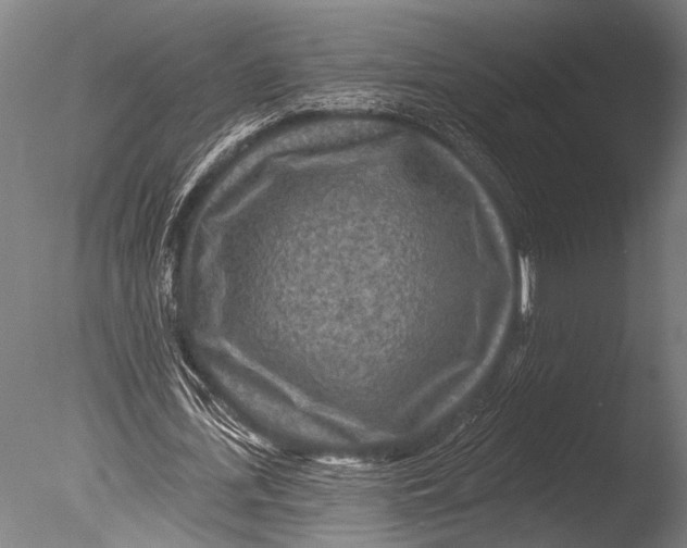 X0000085060723200703261204