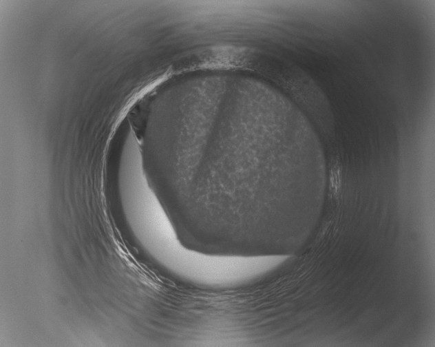 X0000085060724200703261204