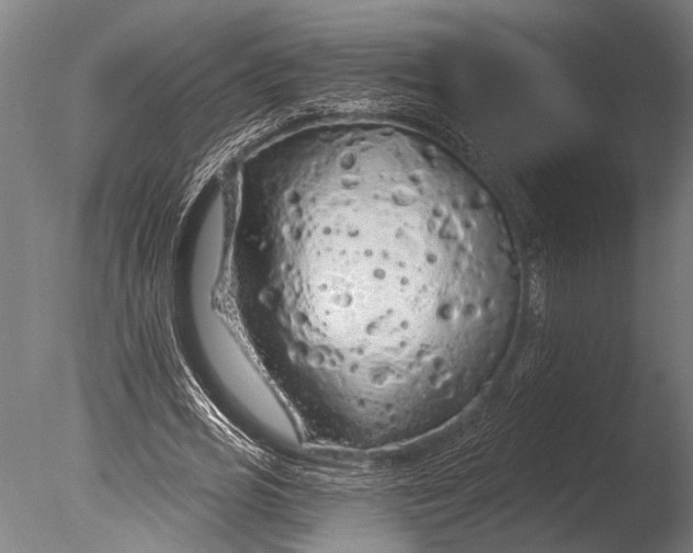 X0000085060725200703261204