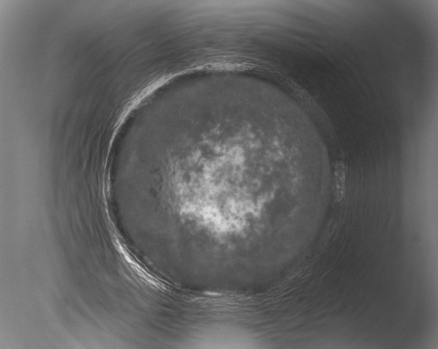 X0000085060726200703261204