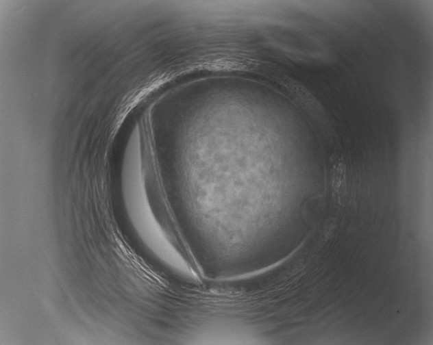 X0000085060727200703261204