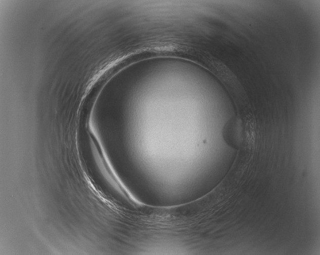 X0000085060728200703261204