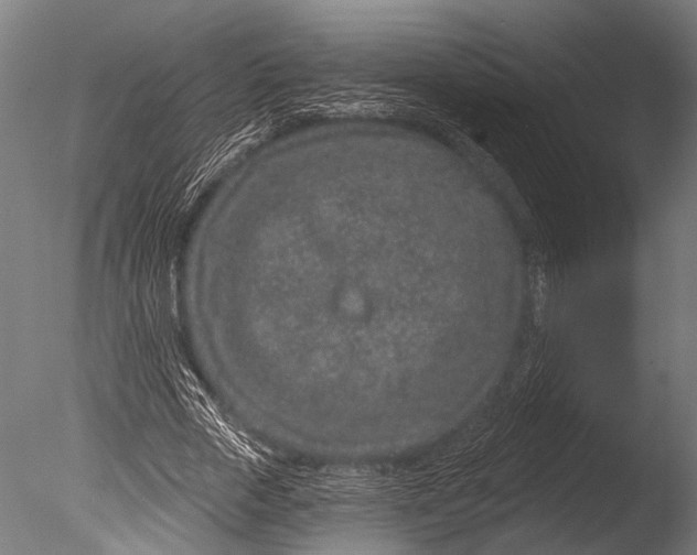 X0000085060729200703261204