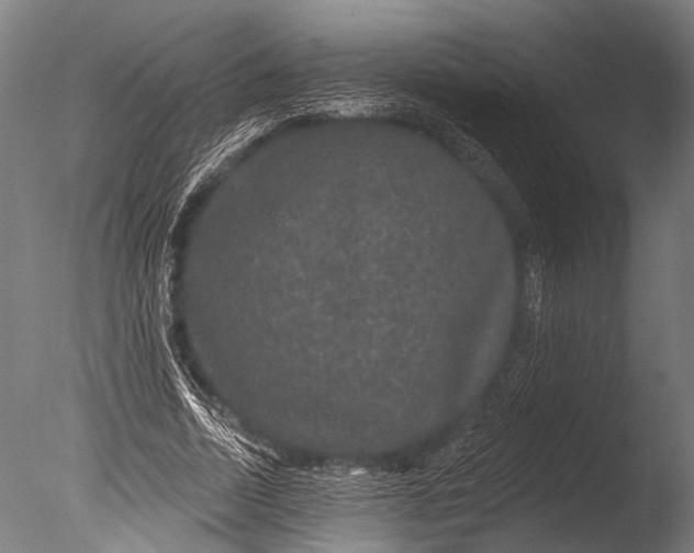 X0000085060730200703261204