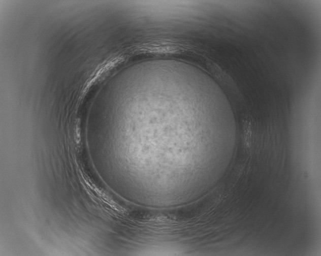 X0000085060731200703261204