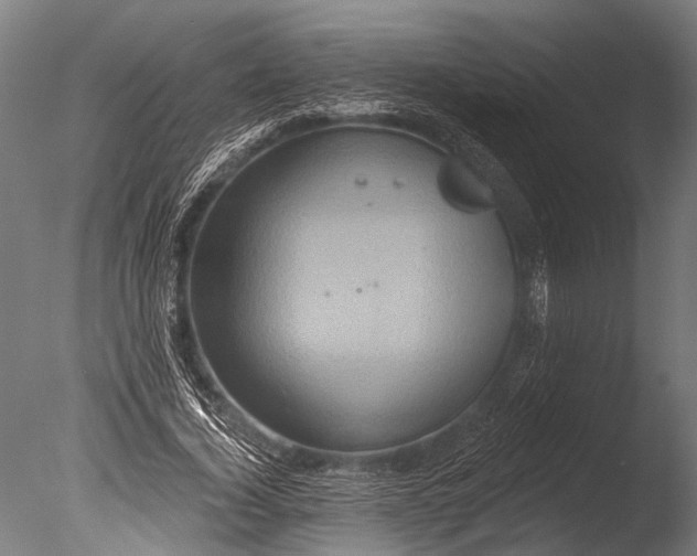 X0000085060732200703261204