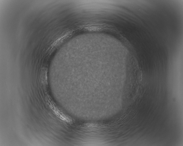 X0000085060733200703261204