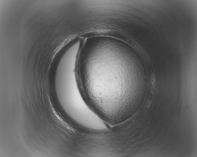 X0000085060734200703261204