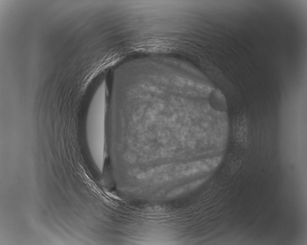 X0000085060735200703261204