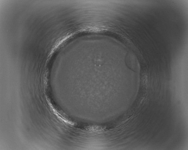 X0000085060736200703261204