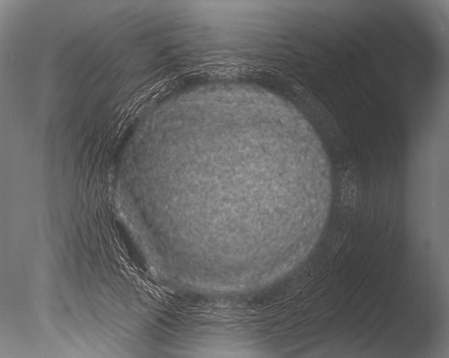 X0000085060737200703261204