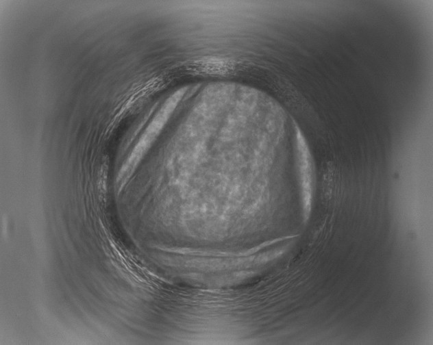 X0000085060739200703261204