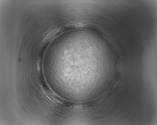 X0000085060740200703261204