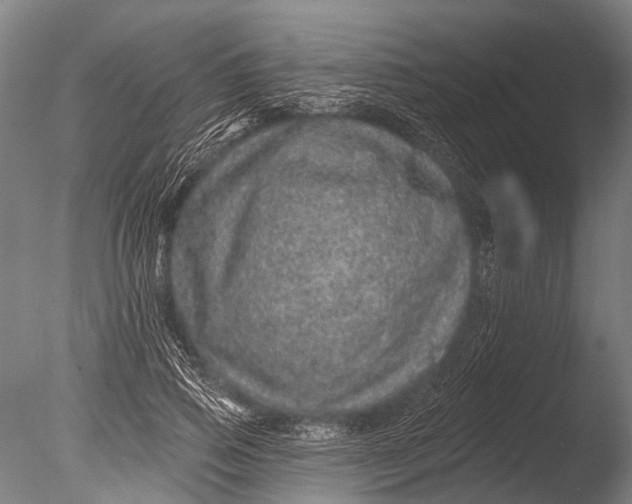 X0000085060741200703261204