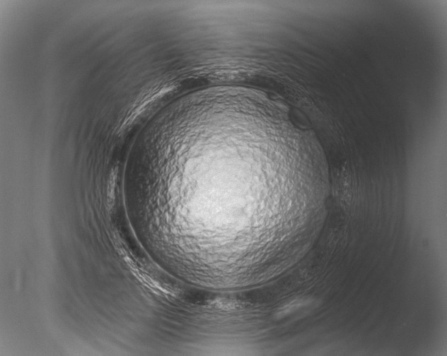 X0000085060742200703261204