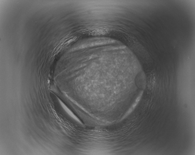 X0000085060743200703261204