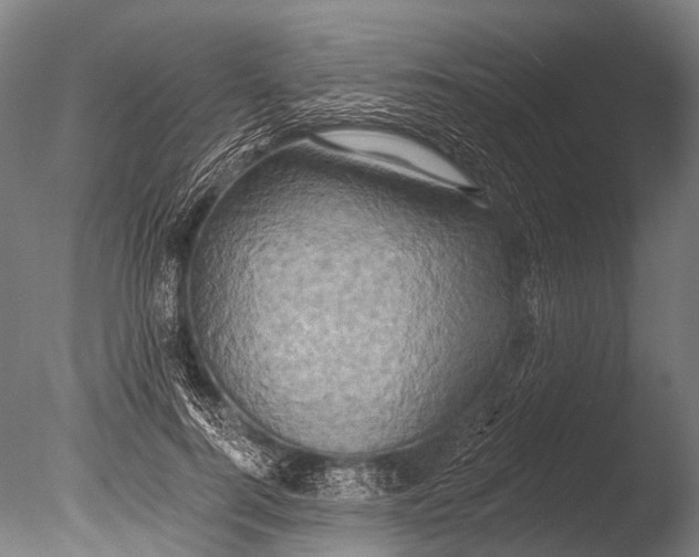 X0000085060744200703261204