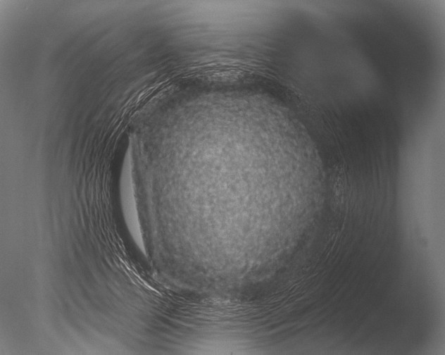 X0000085060745200703261204