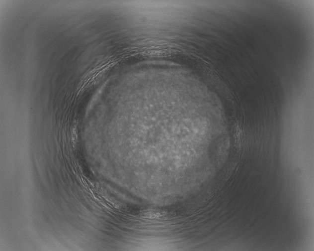 X0000085060746200703261204