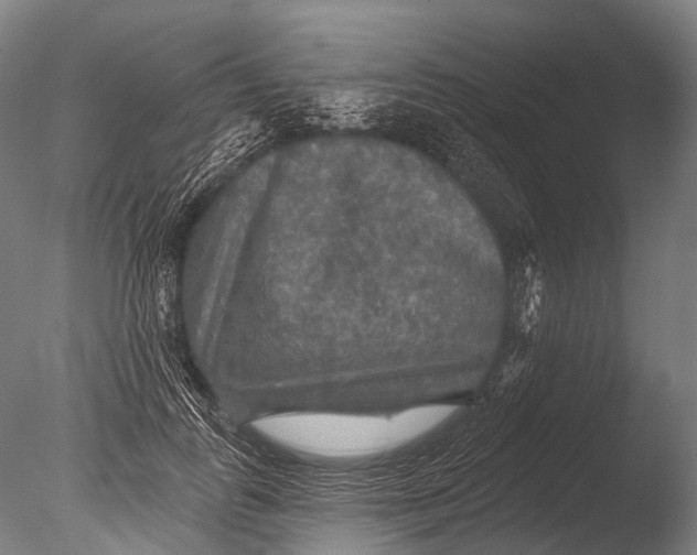 X0000085060747200703261204