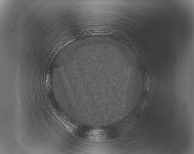 X0000085060748200703261204