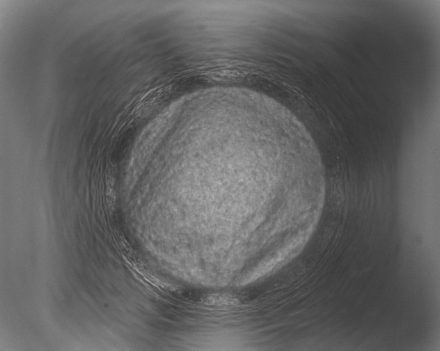 X0000085060749200703261204