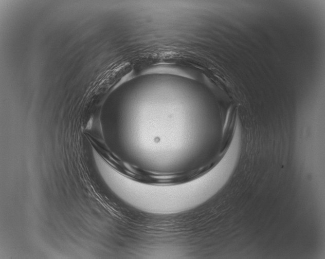 X0000085060750200703261204