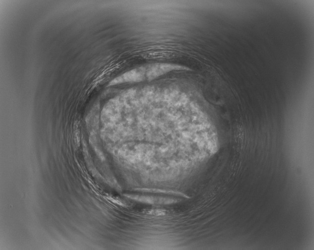 X0000085060751200703261204