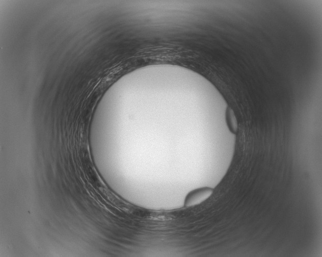 X0000085060752200703261204