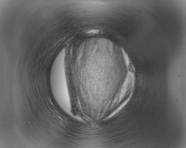 X0000085060753200703261204