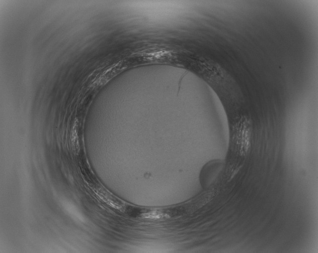 X0000085060754200703261204