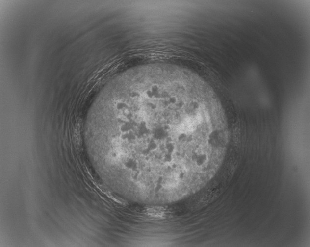 X0000085060757200703261204