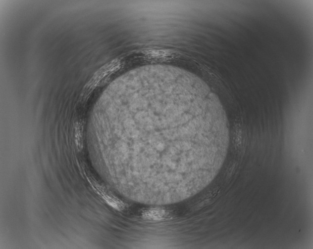 X0000085060759200703261204