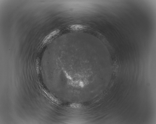 X0000085060762200703261204