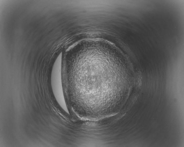 X0000085060766200703261205