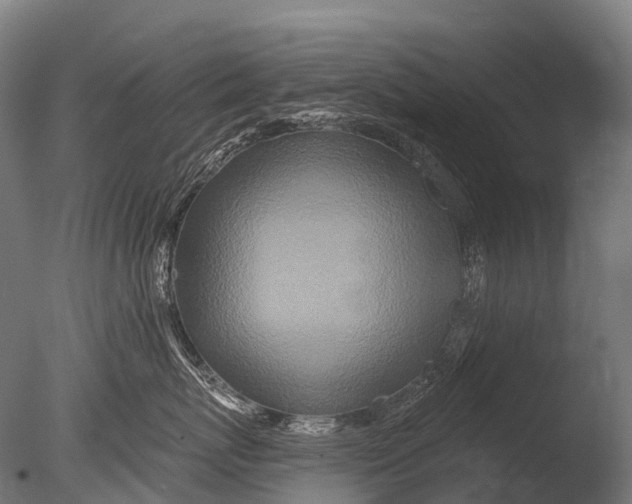 X0000085060767200703261205