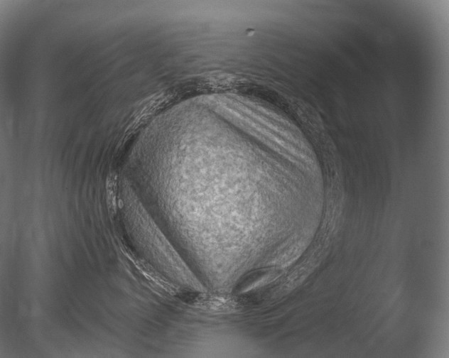 X0000085060768200703261205