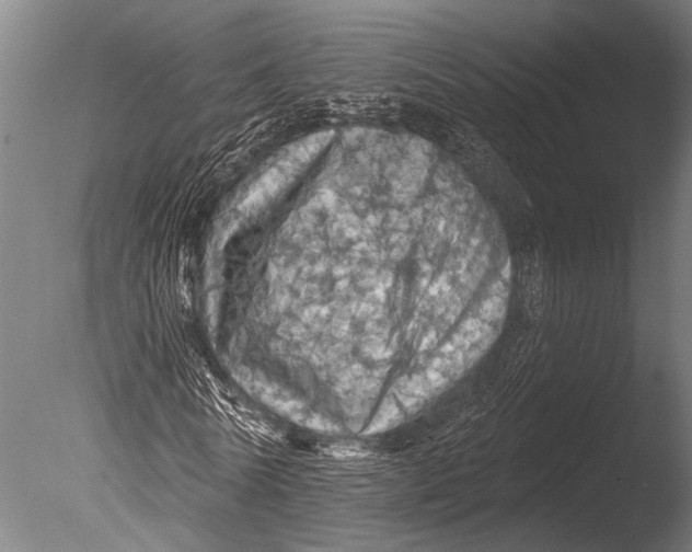 X0000085060770200703261204