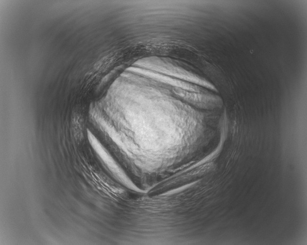 X0000085060772200703261204