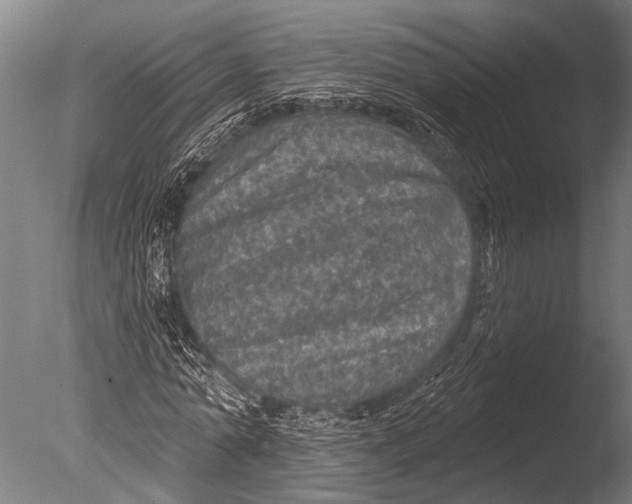 X0000085060774200703261204