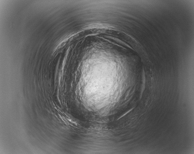 X0000085060775200703261204