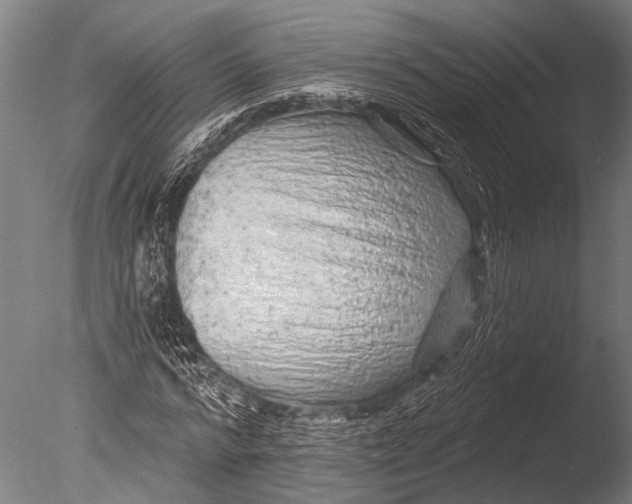 X0000085060776200703261204