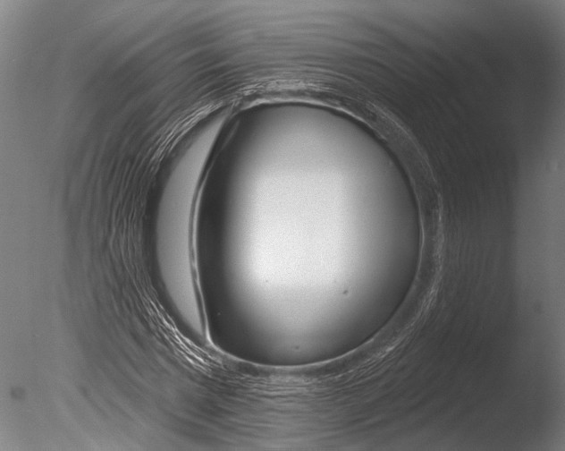 X0000085060777200703261204