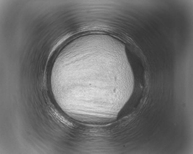 X0000085060780200703261204