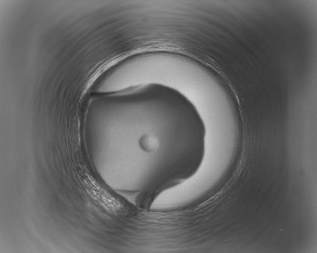 X0000085060781200703261204