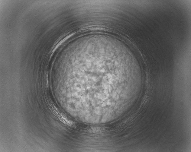 X0000085060782200703261204